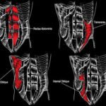 Ejercicios para la prensa abdominal.