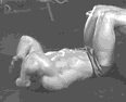 Flexiones hacia atrás